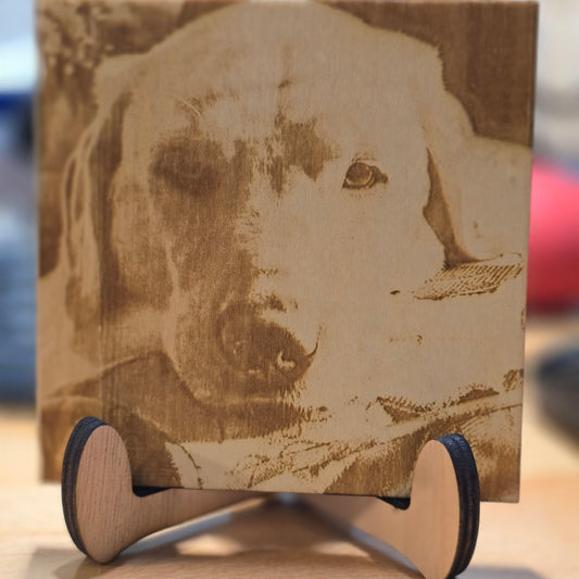 Wood Engraved Pictures